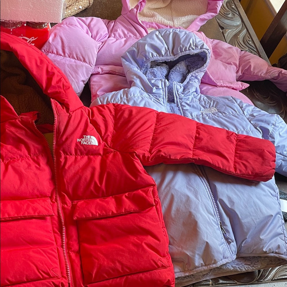 The North Face.  Flash bundle 3/$85